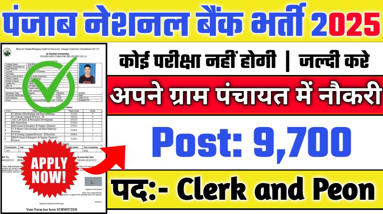 PNB New Vacancy 2025- पंजाब नेशनल बैंक के अंतर्गत 9700 भर्ती, 10वीं भरे फॉर्म