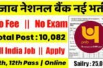 PNB New Vacancy 2025- पंजाब नेशनल बैंक मे 10082 पदों पर भर्ती, Fire Safety Officer , Manager , Peon , Clerk