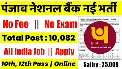 PNB New Vacancy 2025- पंजाब नेशनल बैंक मे 10082 पदों पर भर्ती, Fire Safety Officer , Manager , Peon , Clerk