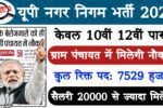 UP Nagar Nigam Recruitment 2025: यूपी नगर निगम भर्ती 2025
