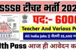 DSSSB Teacher New Vacancy 2025- दिल्ली नगर निगम भर्ती 2025, Authoritative Notice Out