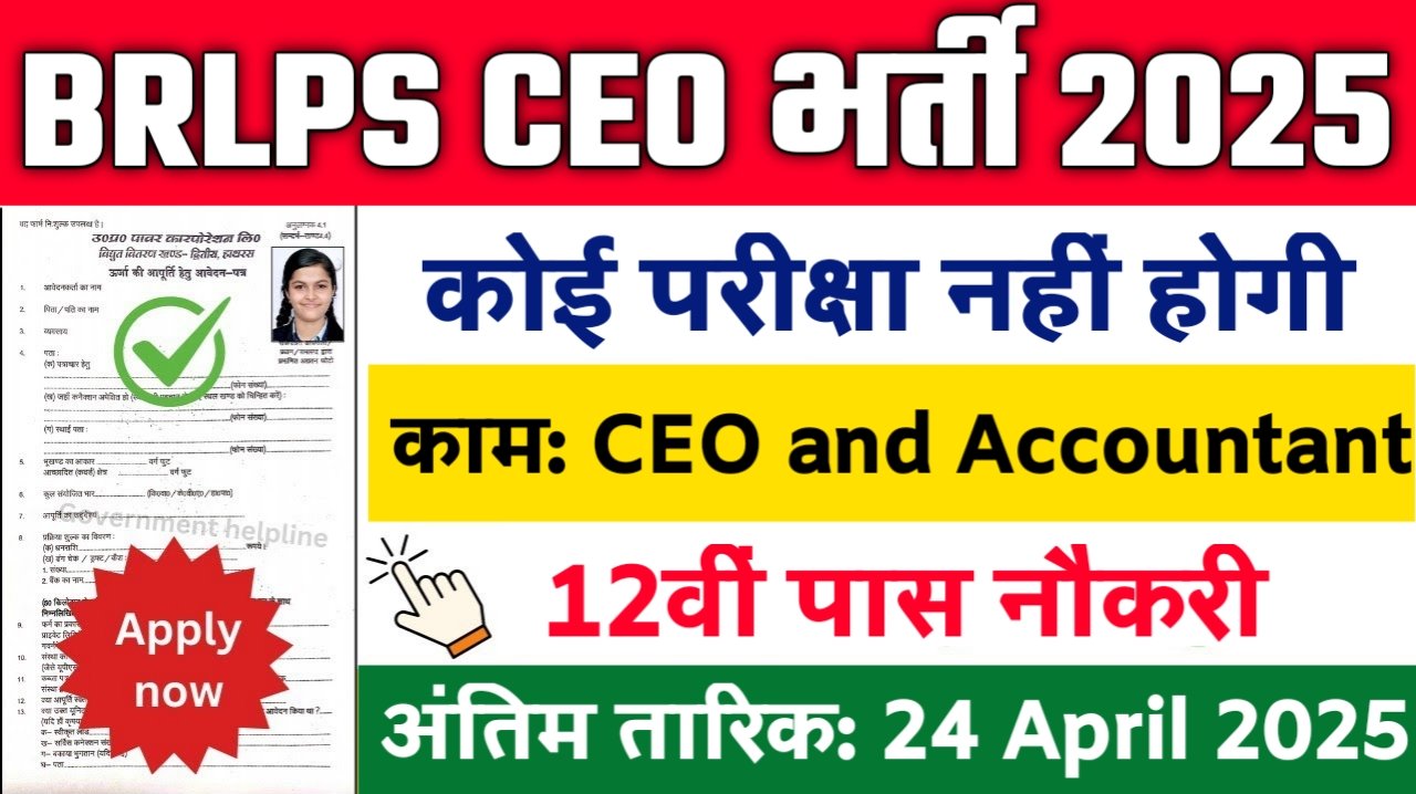 BRLPS CEO New Vacancy 2025: बिहार ग्रामीण आजीविका संवर्धन सोसाइटी में 12वीं पास के लिए आई बम्पर भर्ती