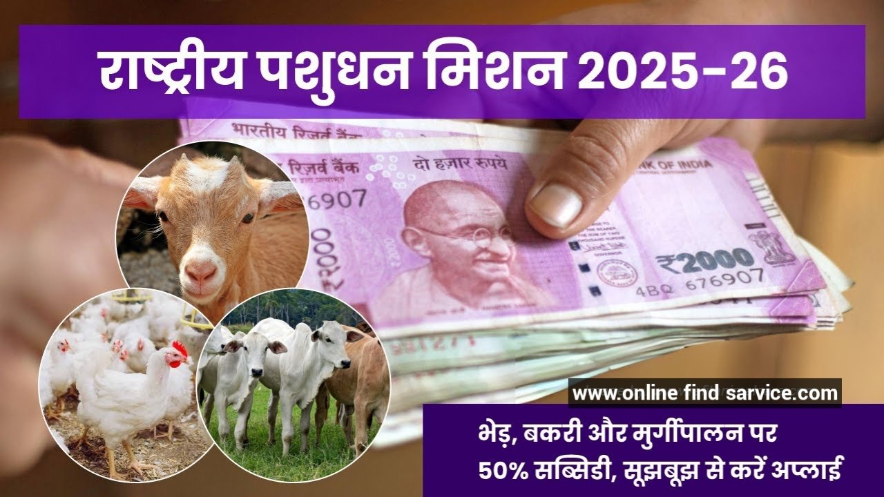 Rashtriya Pashudhan Mission Scheme 2025 : पशुपालन के लिए सरकार दे रही है 50 लाख तक सब्सिडी, जानें पात्रता, लाभ-पूरी जानकारी