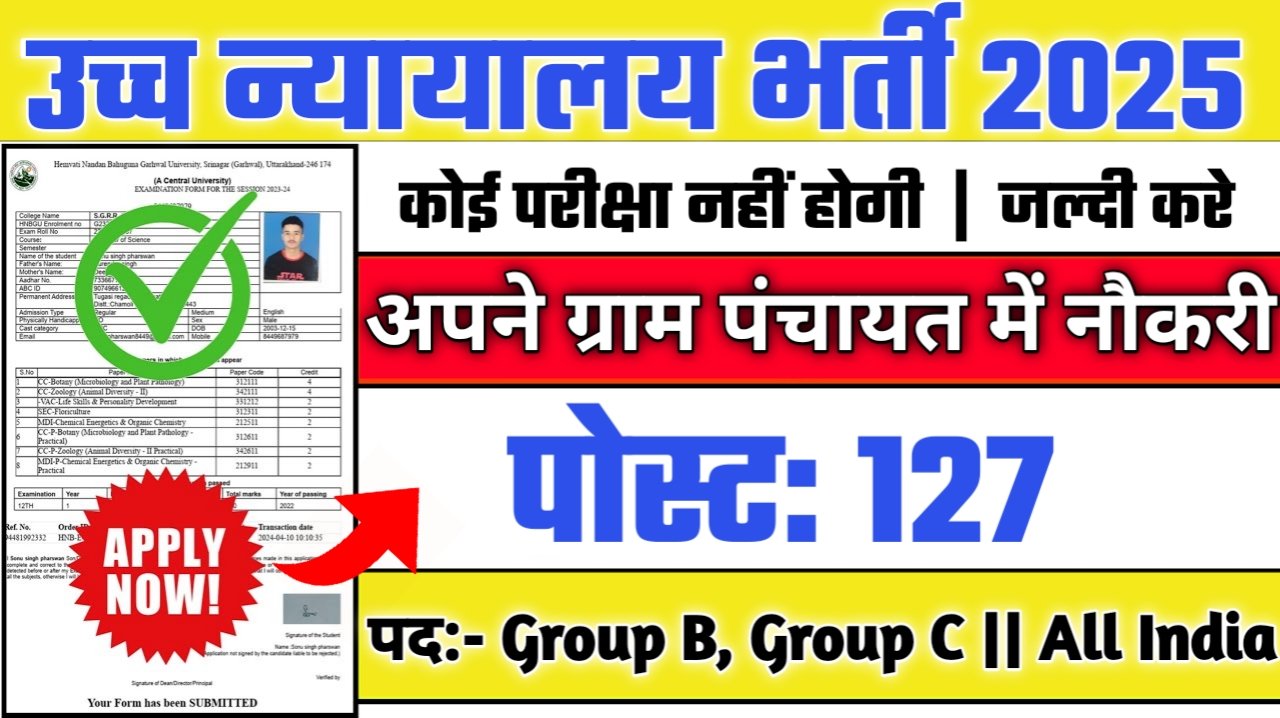 High Court New Vacancy 2025- उच्च न्यायालय में 127 पदों पर भर्ती