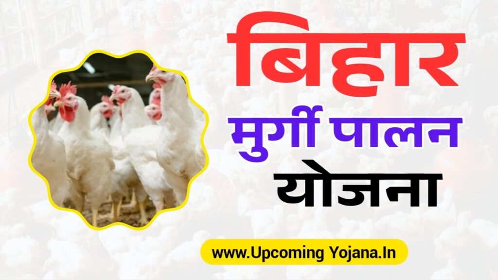 Bihar Murgi Palan Yojana 2025 Online Apply : समेकित मुर्गी विकास योजना 2025, मुर्गी पालन और रोजगार के लिए सरकार दे रही है अनुदान ऑनलाइन शुरू