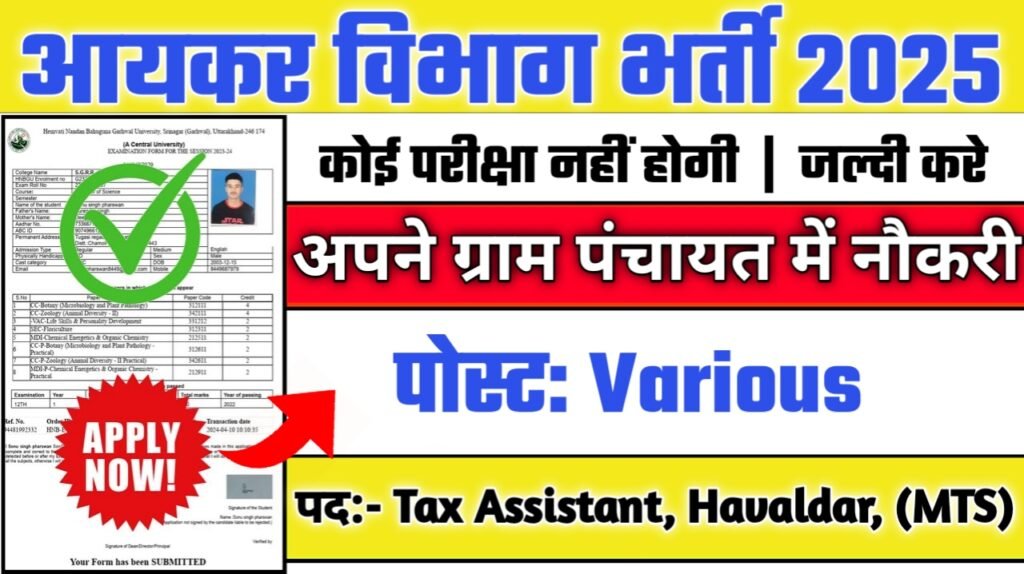 Income Tax New Vacancy 2025- आयकर विभाग में विभिन्न पदों पर आई बंपर भर्ती