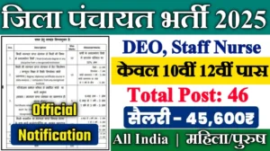 District Panchayat New Vacancy 2025- जिला पंचायत में डाटा एंट्री ऑपरेटर स्टाफ नर्स के पदों पर आई बंपर भर्ती