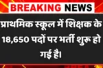 Primary School Teacher New Naukri 2025- प्राथमिक स्कूल शिक्षक में 18,650 पदों पर आई बंपर भर्ती