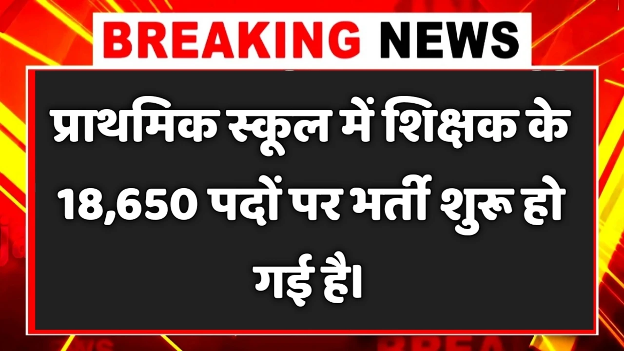 Primary School Teacher New Naukri 2025- प्राथमिक स्कूल शिक्षक में 18,650 पदों पर आई बंपर भर्ती